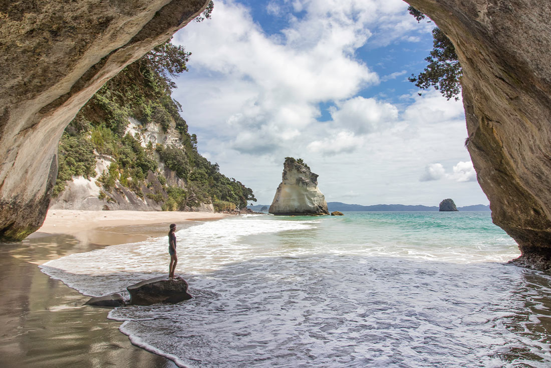 New Zealand North Island in Depth