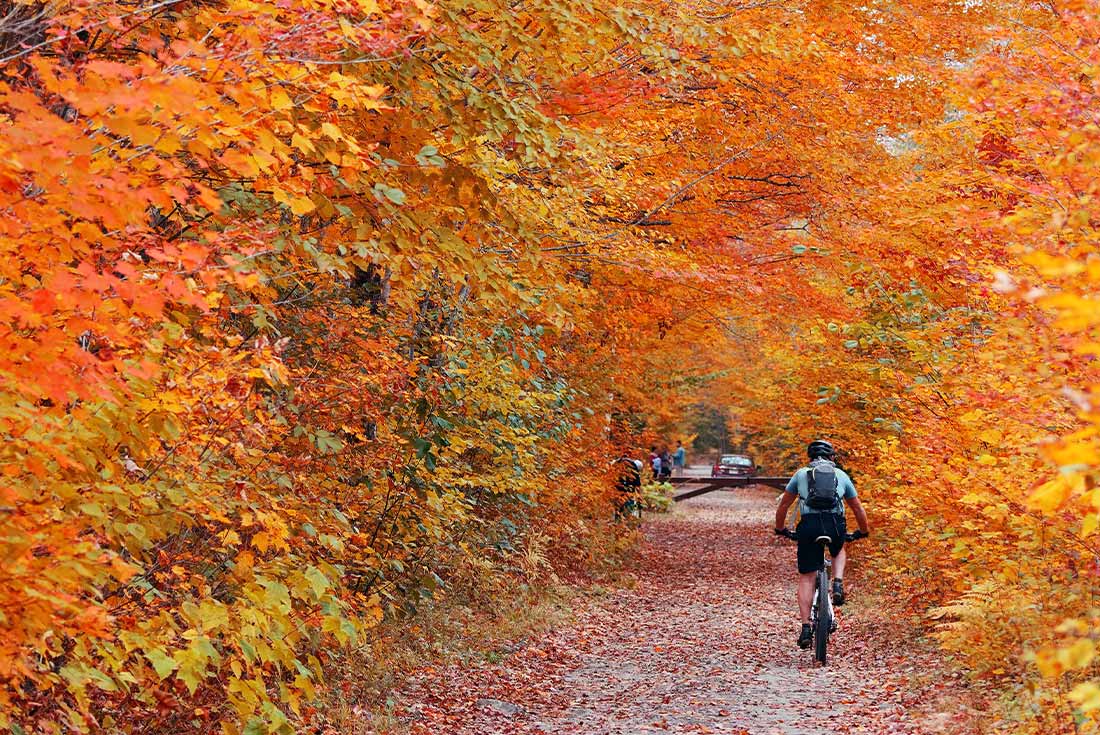 Cycle Vermont