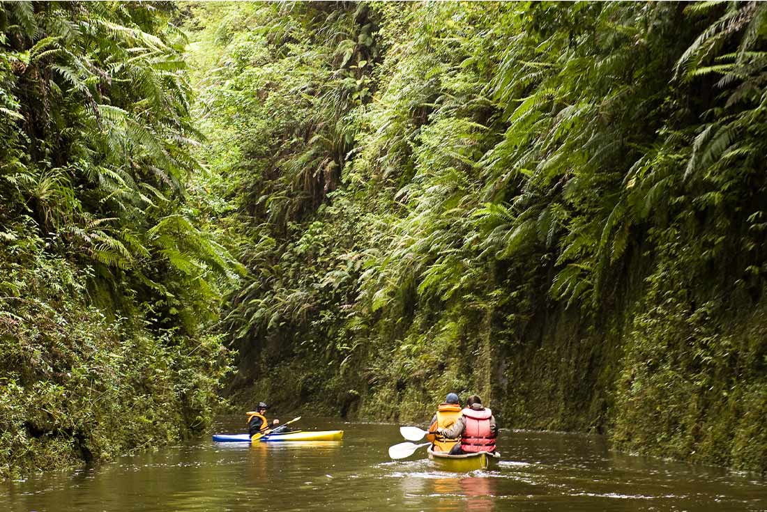 Whanganui River Adventure 