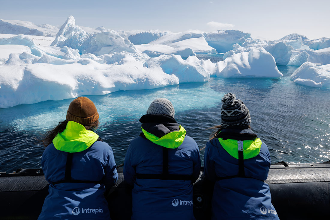 Shackleton's Antarctica, South Georgia & Falklands Explorer (Ocean Endeavour)