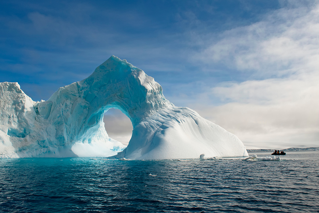 Best of Antarctica In Depth (Ocean Endeavour)