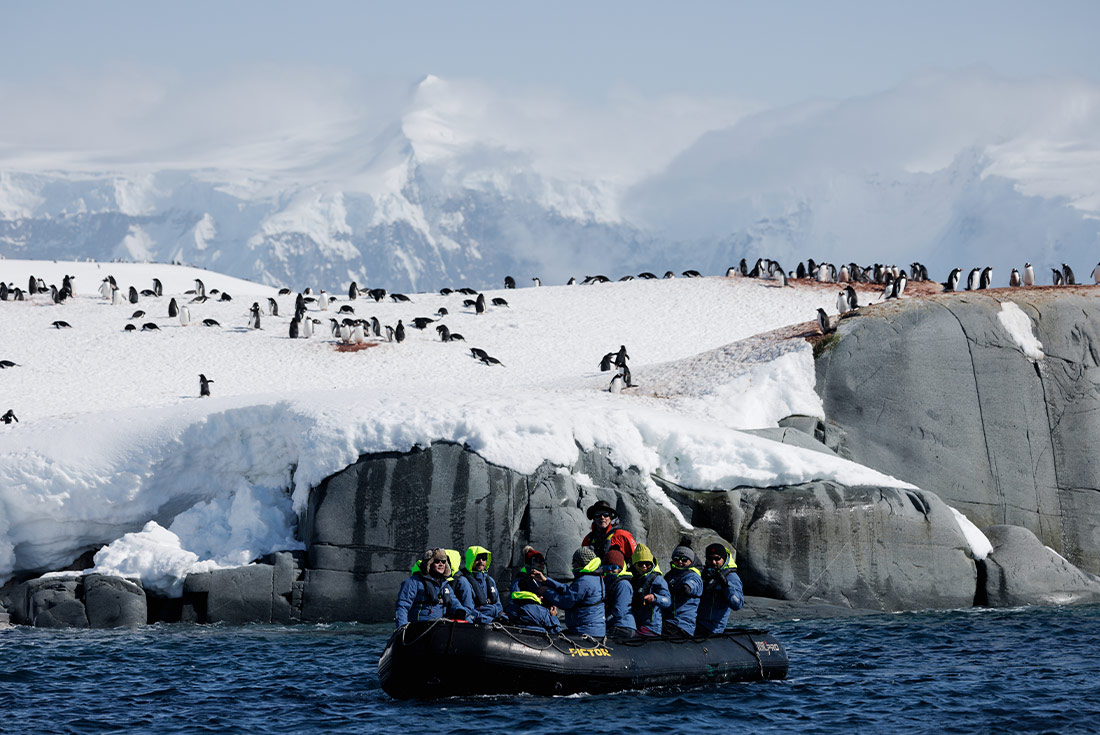 tourhub | Intrepid Travel | Journey to the Antarctic Circle (Ocean Endeavour) | GQMCN