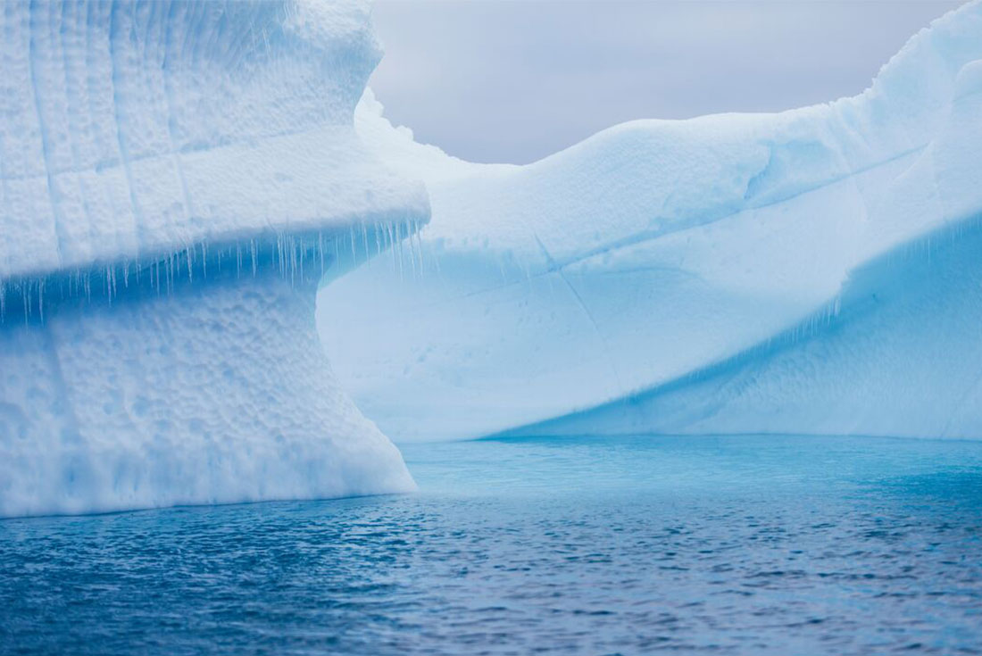 tourhub | Intrepid Travel | Best of Antarctica: Whale Journey (Ocean Endeavour)  