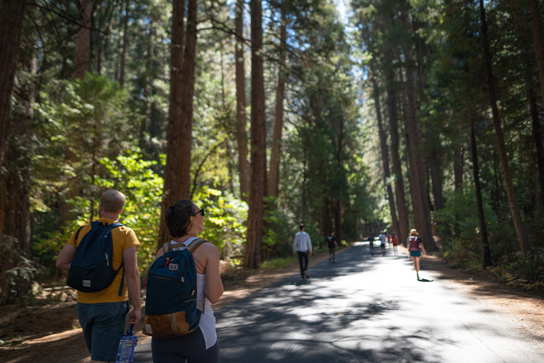 Sunshine Coast Walking Summer Adventure