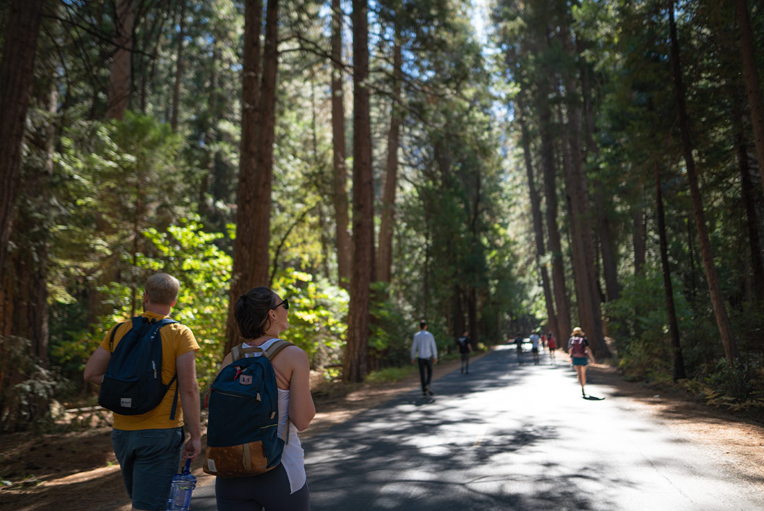 Hiking in Yosemite National Park