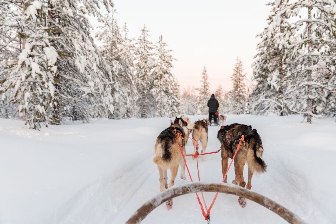 Finnish Lapland in Winter