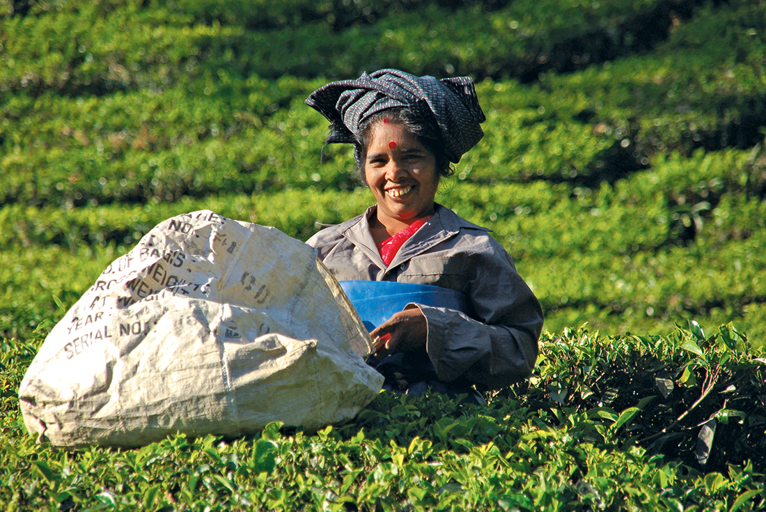 Southern India