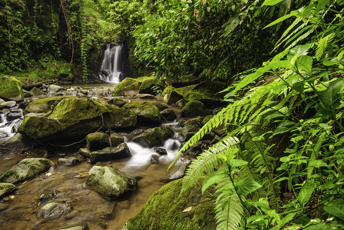 Natural Highlights of Costa Rica