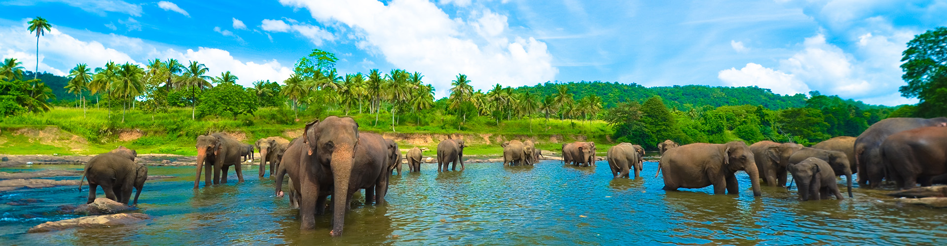 tourhub | Intrepid Travel | Sri Lanka Family Holiday  | HHFL