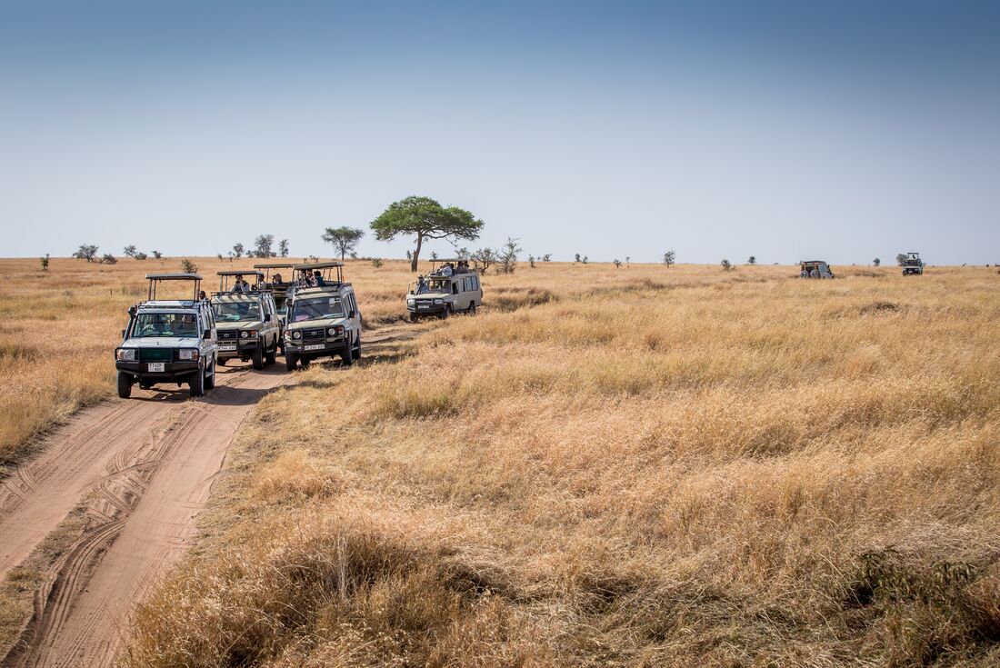 Safari to Kilimanjaro - Machame Route