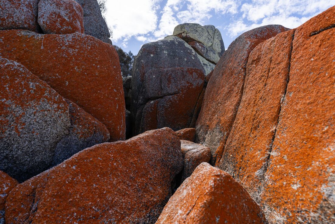 Walk Tasmania's Bay of Fires