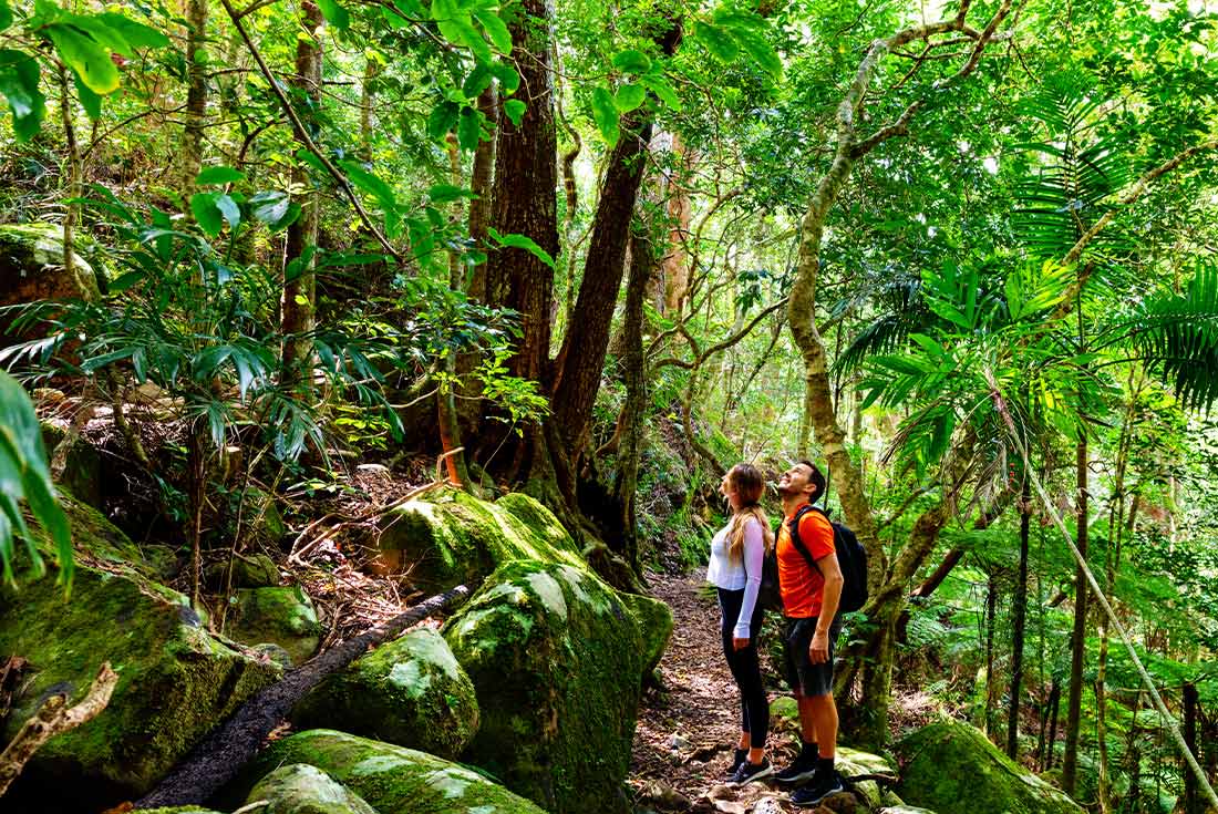 Walk Queensland's Scenic Rim