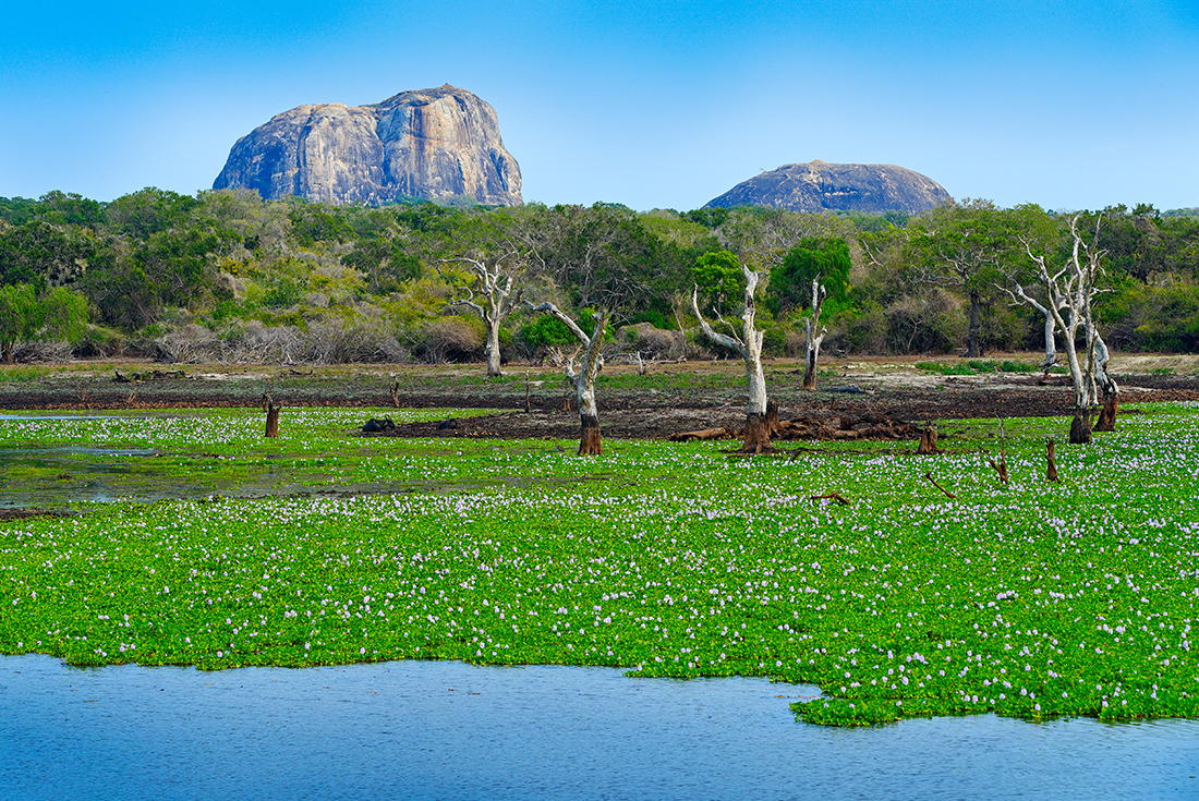 tourhub | Intrepid Travel | Cycle Sri Lanka 