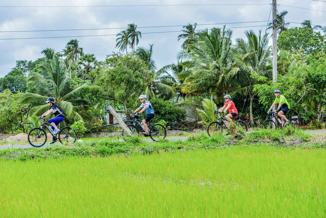 tourhub | Intrepid Travel | Cycle Sri Lanka 