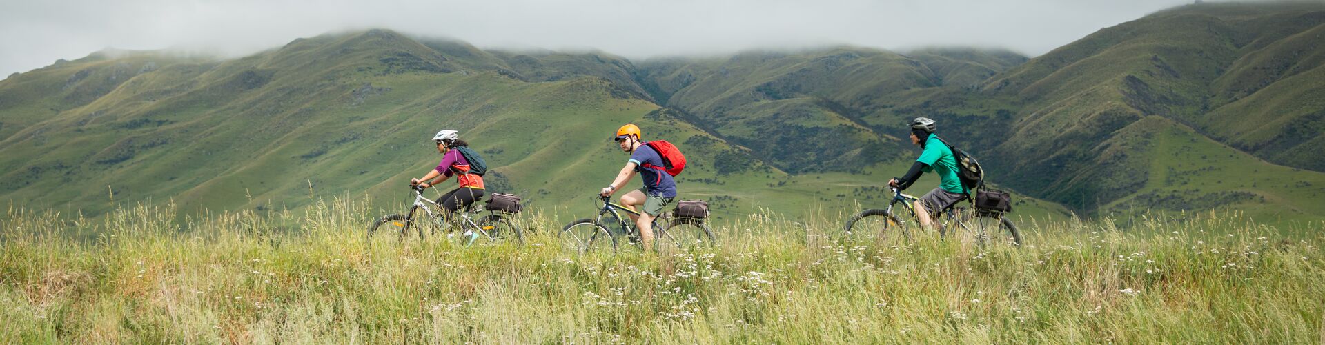 tourhub | Intrepid Travel | Cycle New Zealand: Otago Rail Trail | PHXC