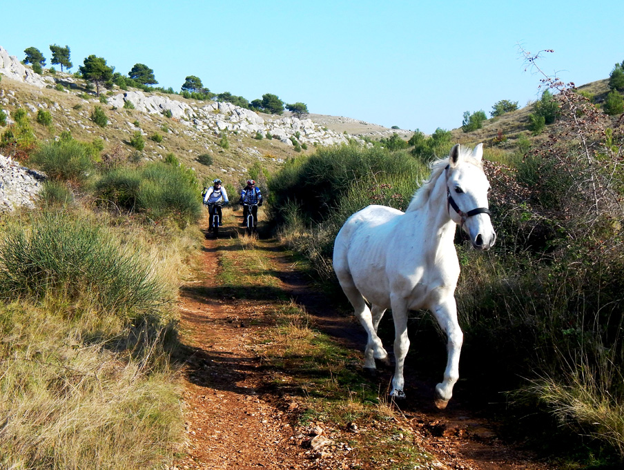 tourhub | Intrepid Travel | Cycle Croatia & the Balkans 