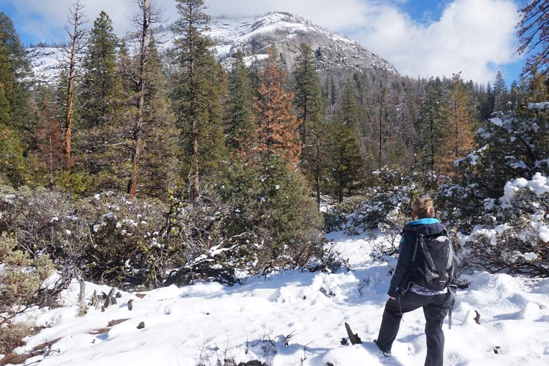 Winter Hiking and Snowshoeing in Yosemite