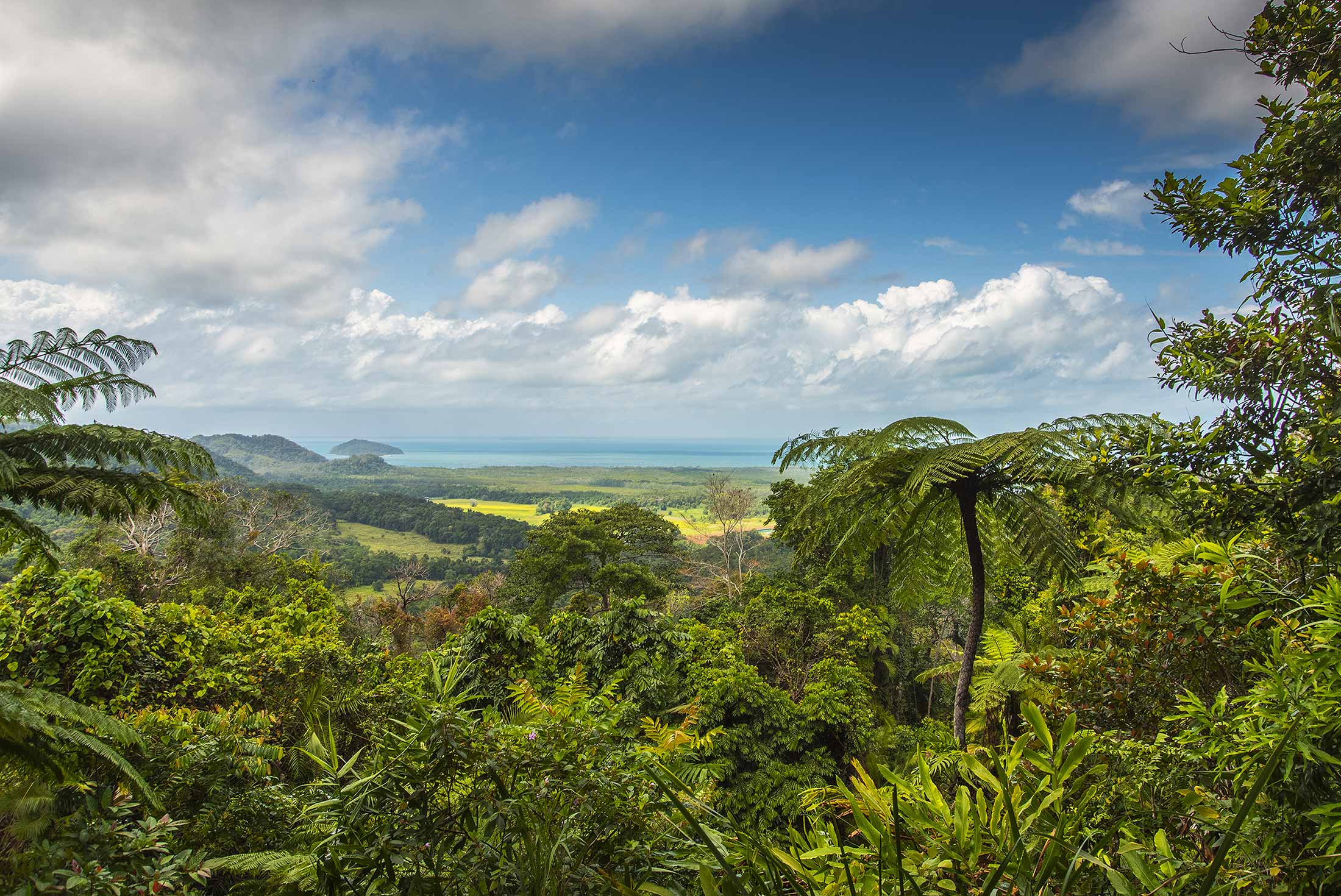 Brisbane to Cairns Adventure