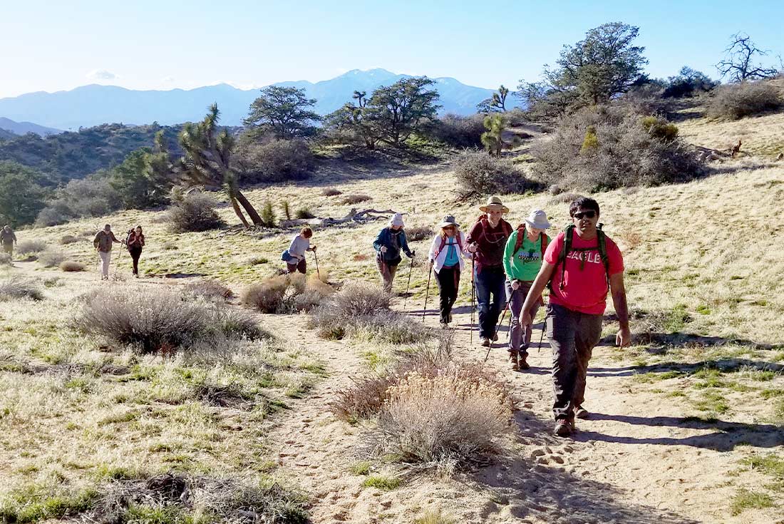 Hiking and Camping in Joshua Tree