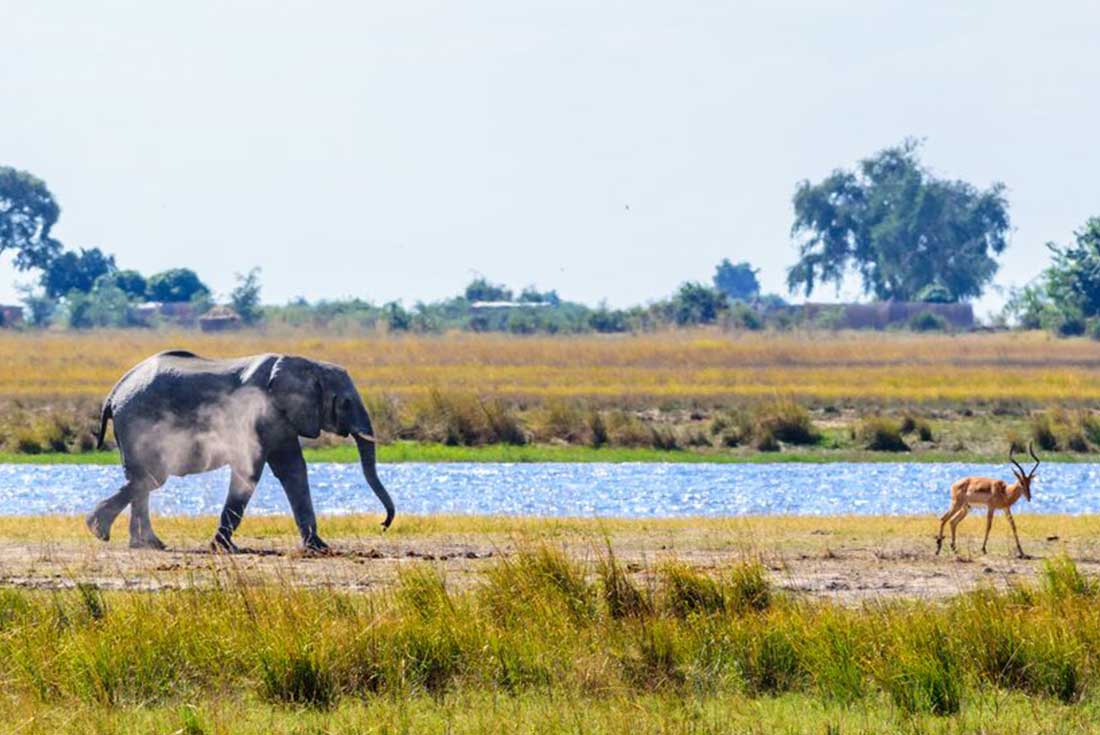 Johannesburg to Zanzibar