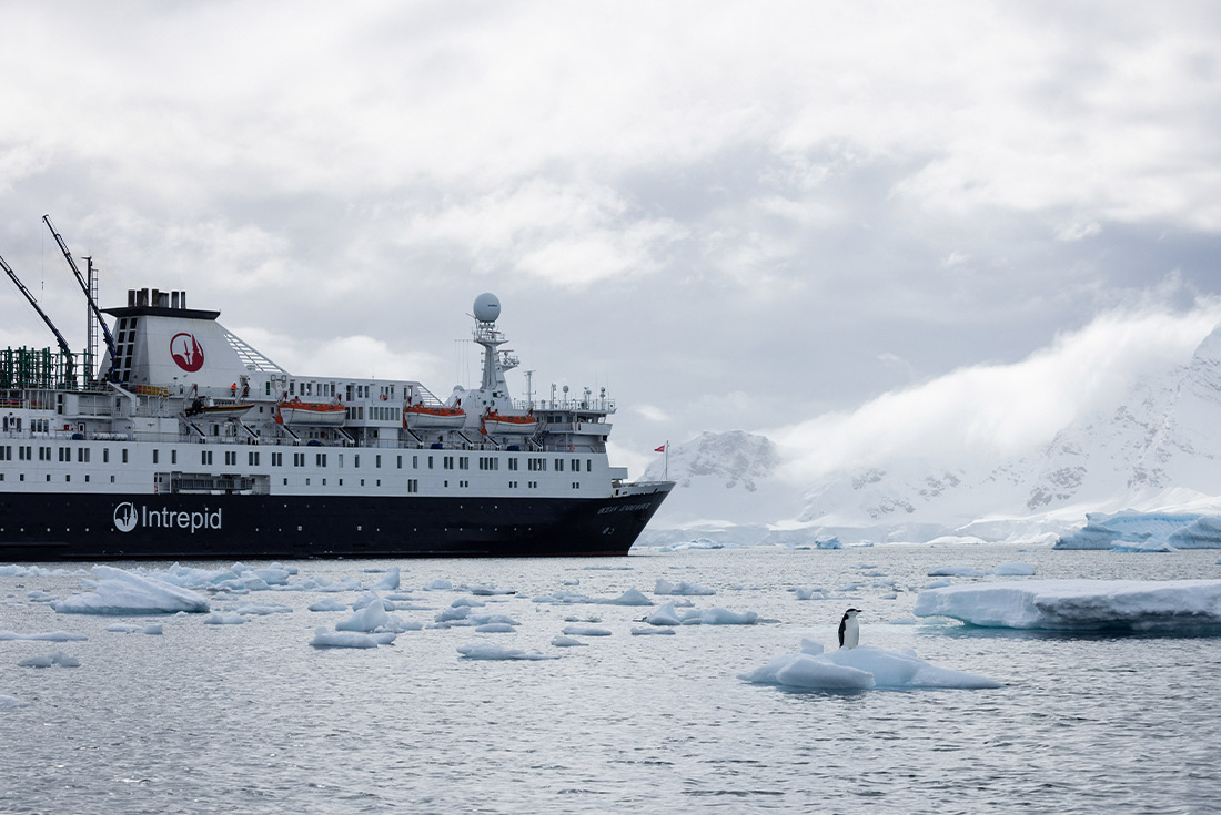 WWF Journey to the Circle and Giants of Antarctica (Ocean Endeavour)