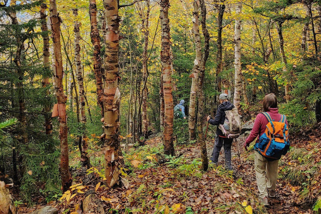 Hike Vermont: Fall Foliage