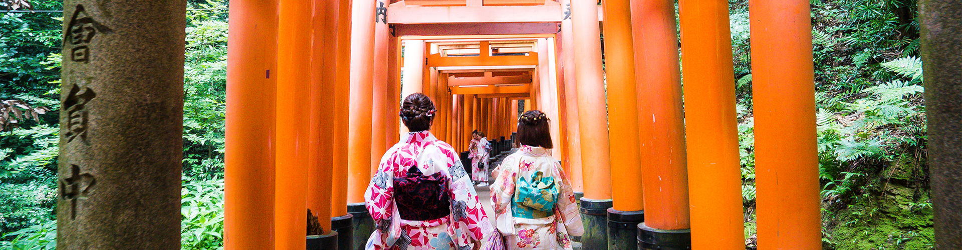 tourhub | Intrepid Travel | Premium Highlights of Japan | CJPH
