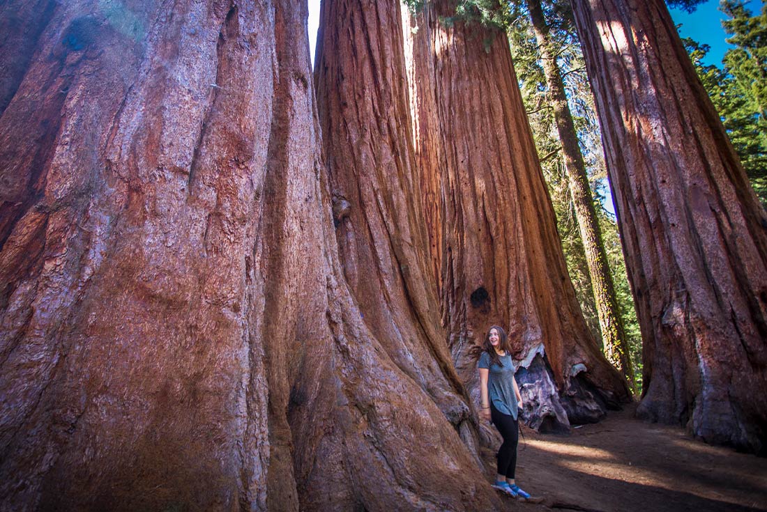 Best of California's National Parks