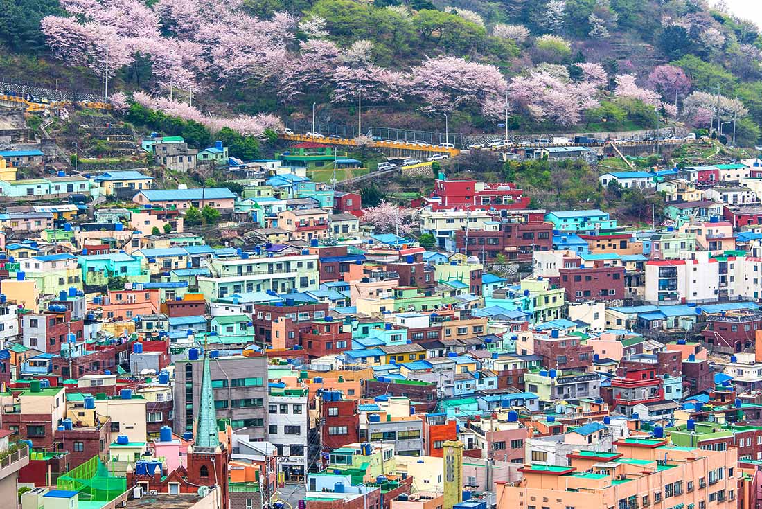 South Korea Highlights