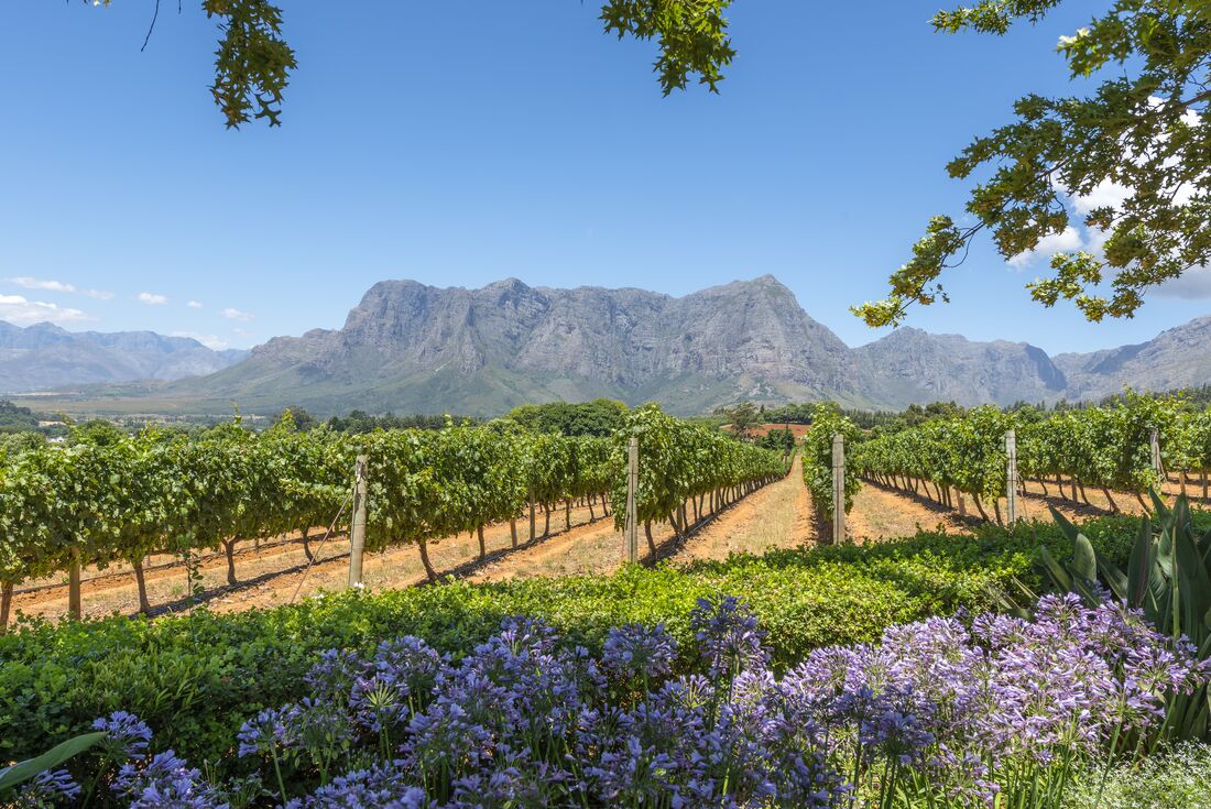 Cape Town & Winelands 