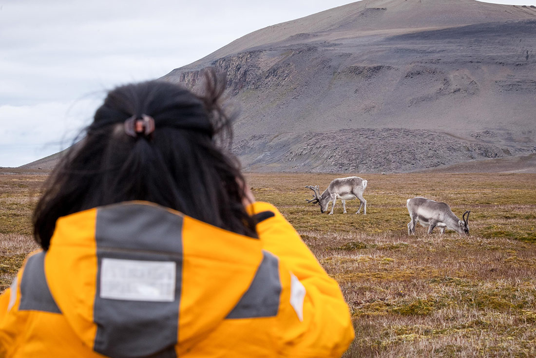 Spitsbergen Highlights: Journey into the Arctic Wilderness