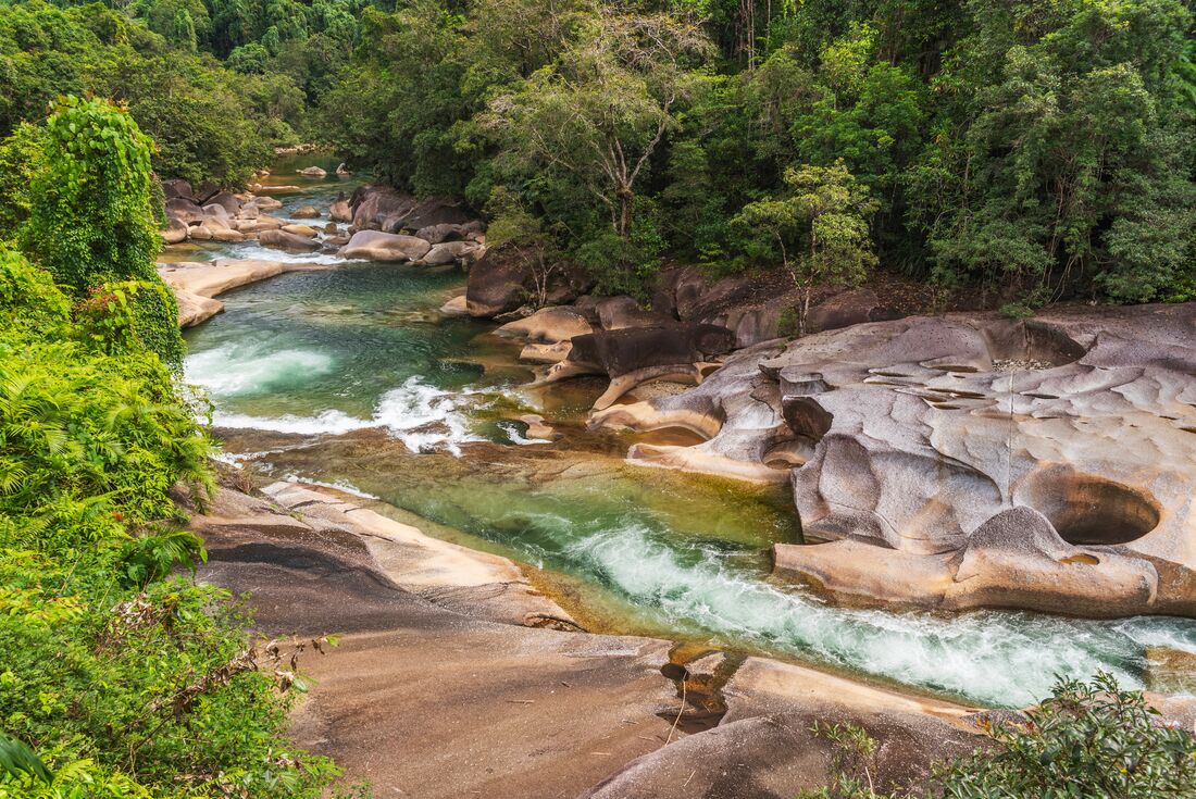 tourhub | Intrepid Travel | Essential Brisbane to Cairns 