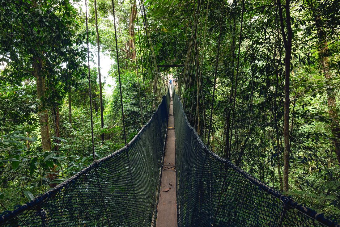 Borneo Family Holiday