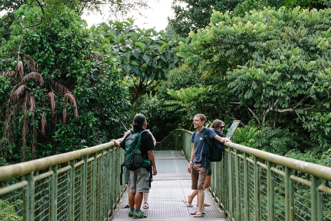 tourhub | Intrepid Travel | Classic Borneo 