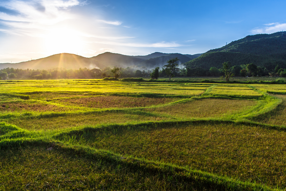 tourhub | Intrepid Travel | Highlights of Thailand 