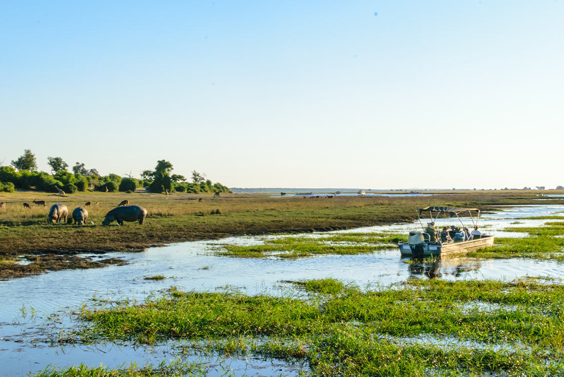 Botswana Adventure