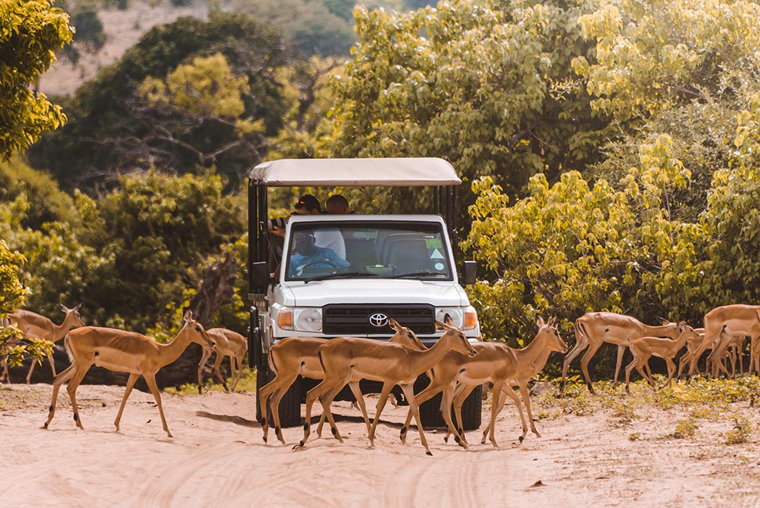 tourhub | Intrepid Travel | Botswana Adventure 