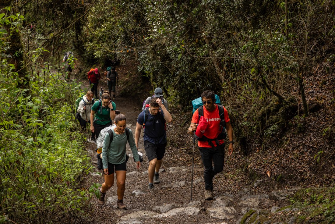 tourhub | Intrepid Travel | Peru: Trek the Inca Trail 4 Days 