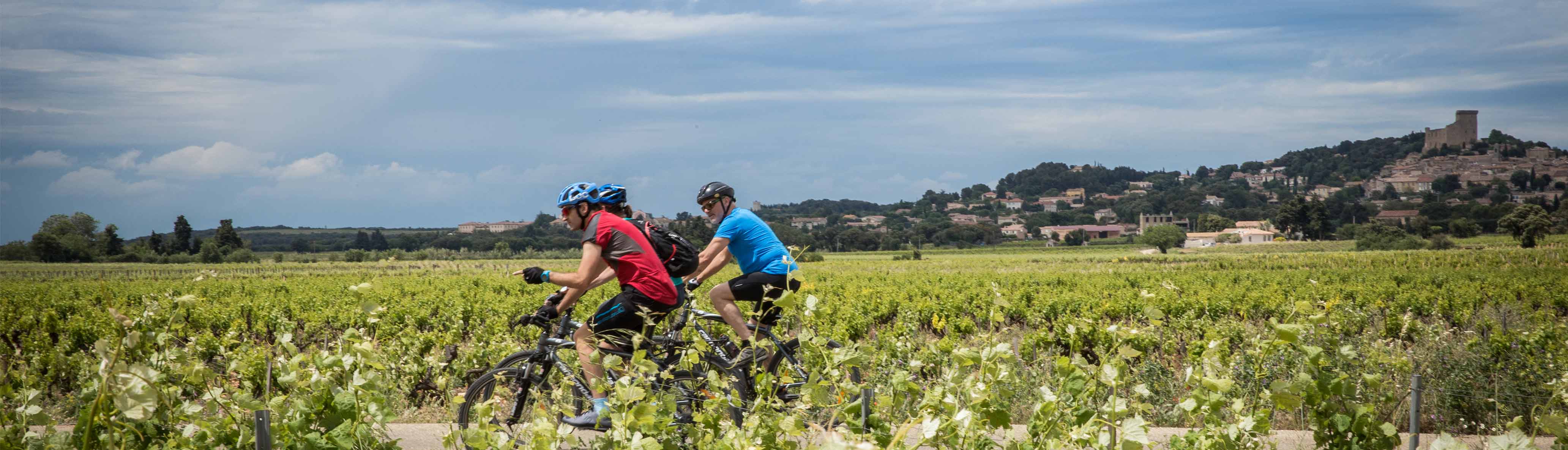 tourhub | Intrepid Travel | Cycle Provence 