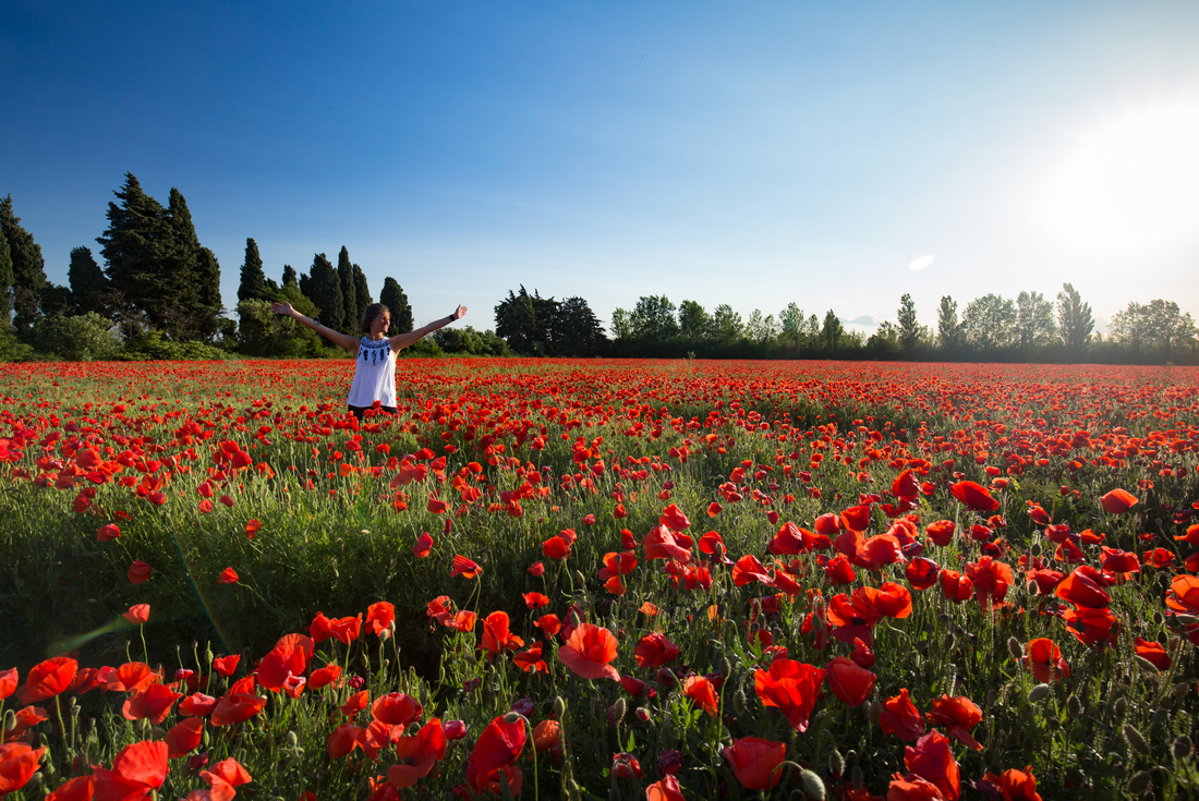 tourhub | Intrepid Travel | Cycle Provence 