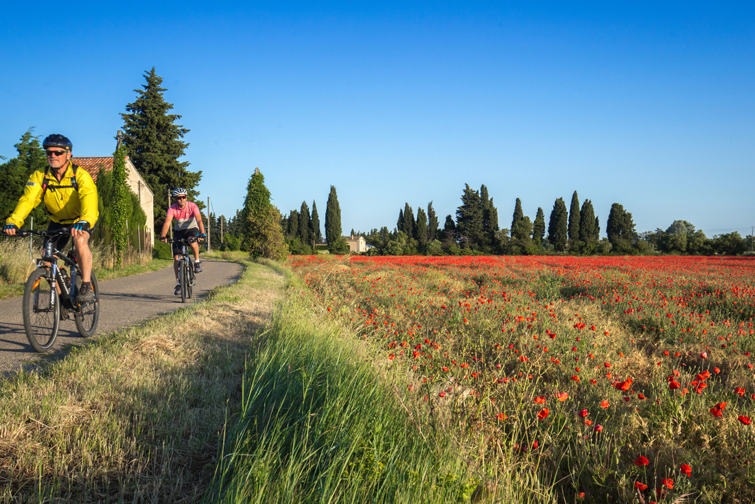 tourhub | Intrepid Travel | Cycle Provence 