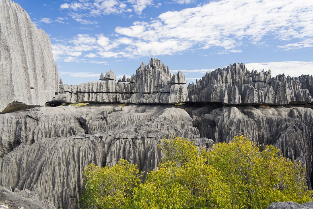 tourhub | Intrepid Travel | Madagascar Baobabs & Beyond 