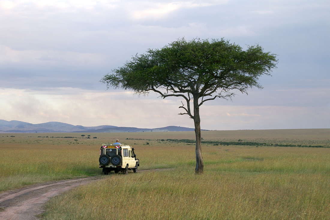 tourhub | Intrepid Travel | Premium Kenya 