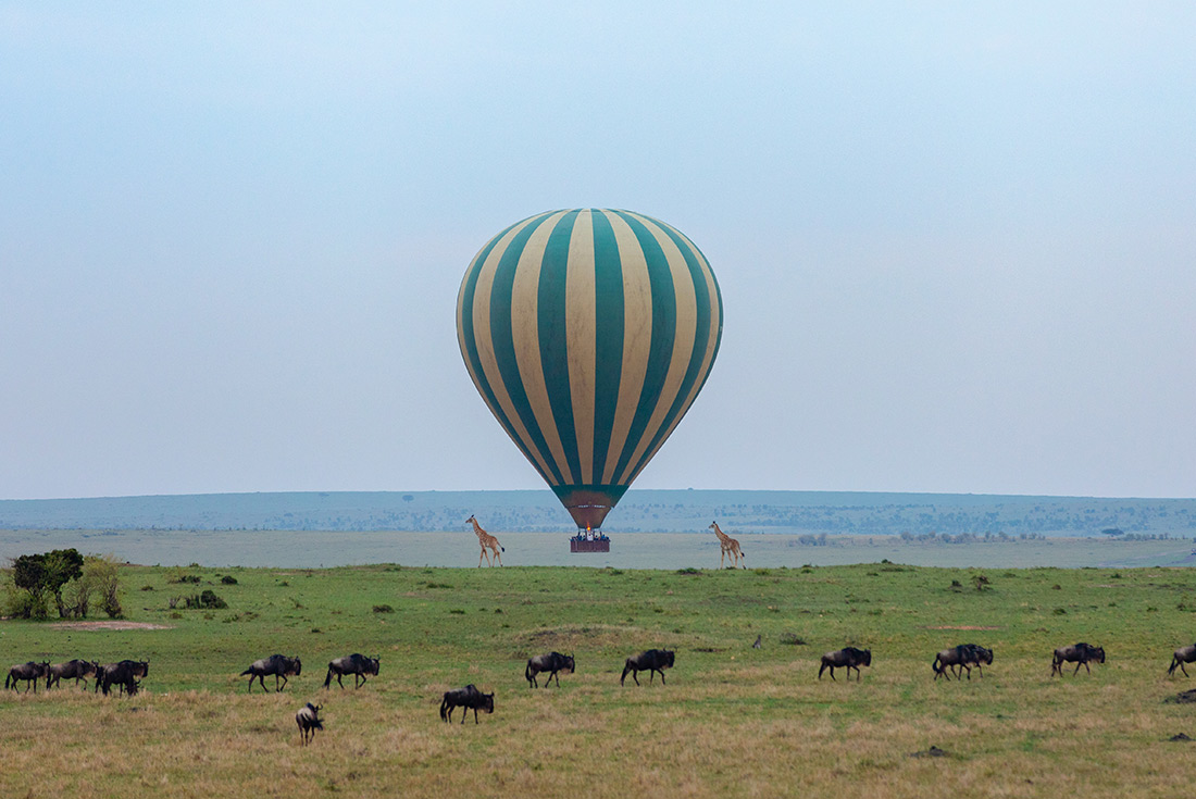 tourhub | Intrepid Travel | Premium Kenya 