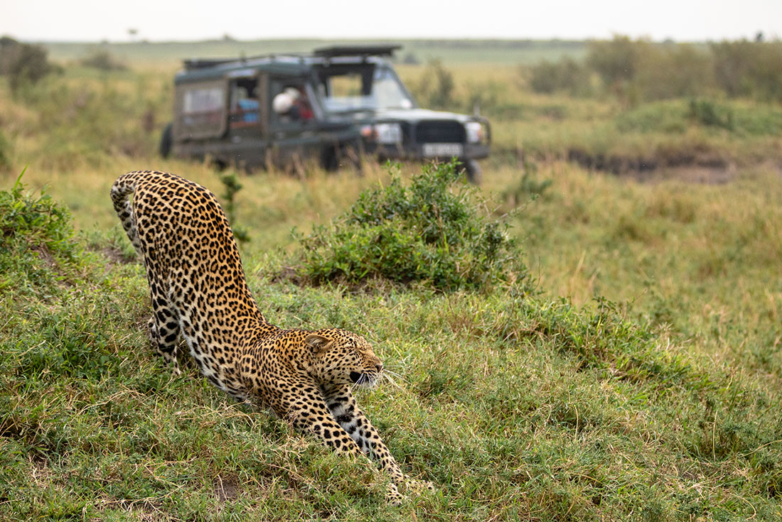 tourhub | Intrepid Travel | Premium Kenya 