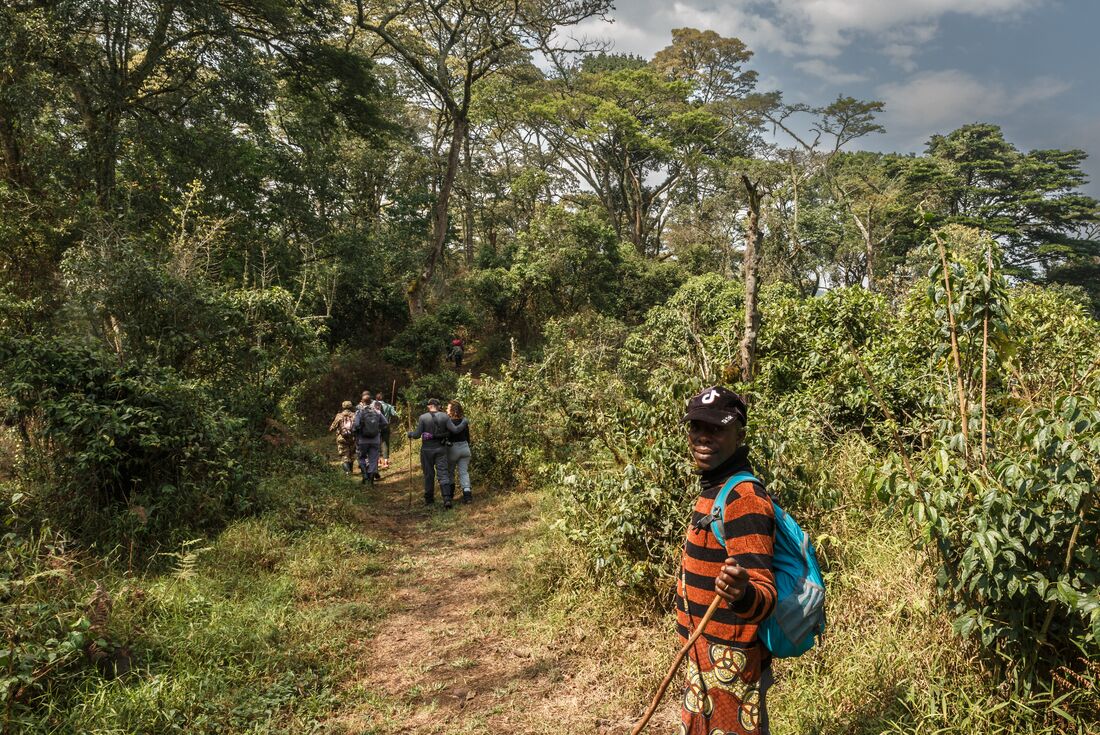 Premium Rwanda & Gorillas of Uganda