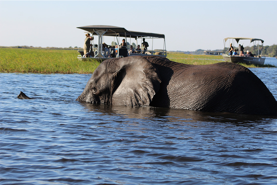 tourhub | Intrepid Travel | Okavango Experience 