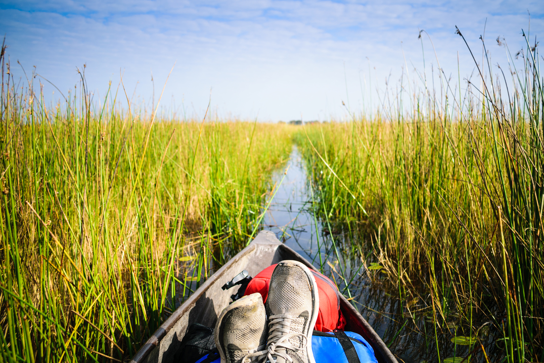 Okavango Experience