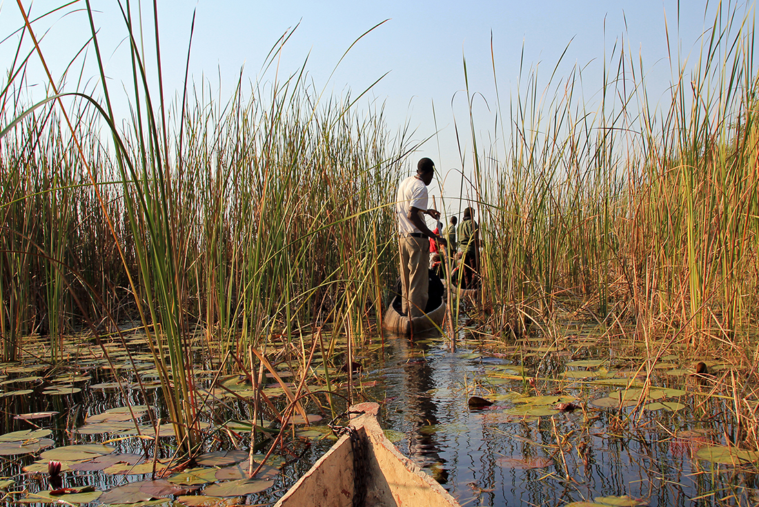 tourhub | Intrepid Travel | Okavango Experience 