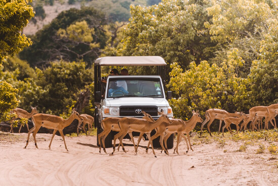 tourhub | Intrepid Travel | Okavango Experience 